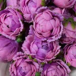 Meet your Posher, Marley